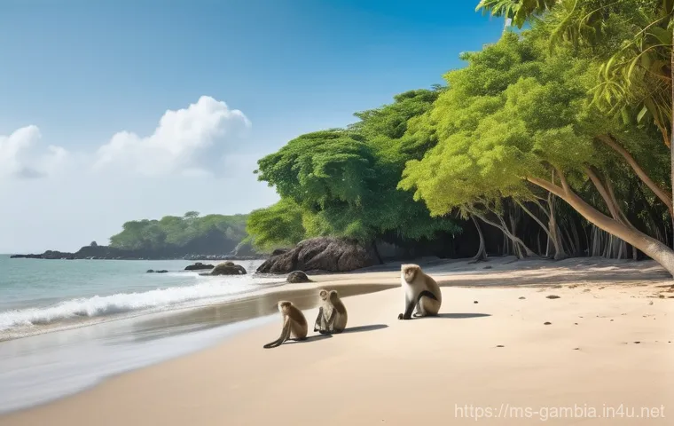 감비아 로컬 투어 추천 - **Prompt 2: Authentic Gambian Culinary Experience**
    "A close-up, inviting shot of authentic Gamb...