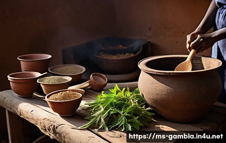 감비아 대체 의학 문화 관련 이미지 1