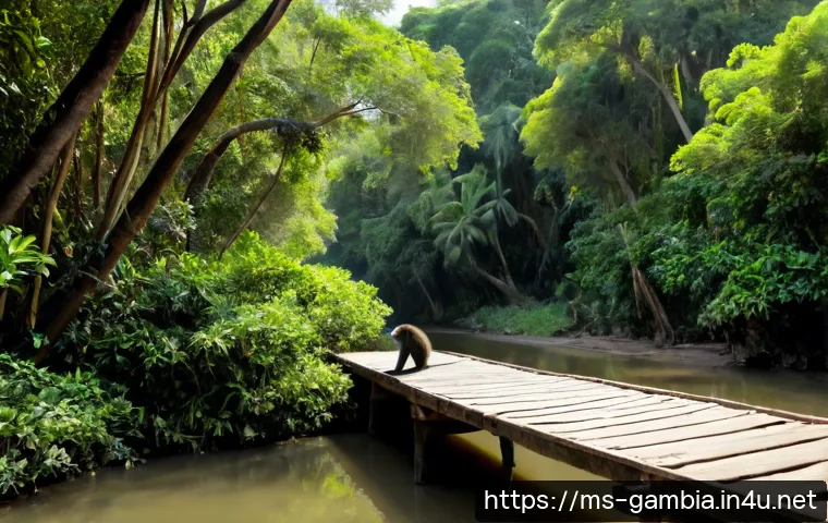 Home 17 감비아 아부코 자연보호구역 - Photorealistic view of Abuko Nature Reserve in The Gambia, a peaceful shaded rainforest trail with t...